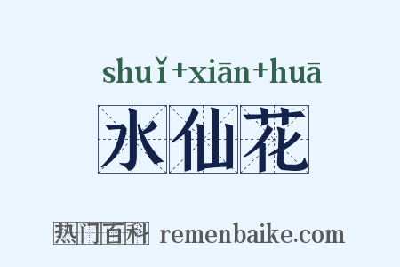 水仙花是什么意思的图片